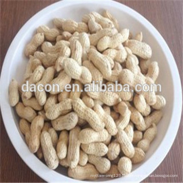 Extracto de Arachis hypogaea